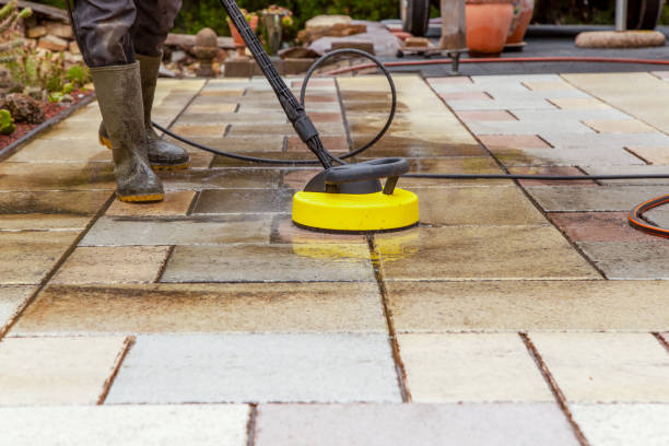 Best Animal Enclosure Cleaning  in Stevenson Ranch, CA